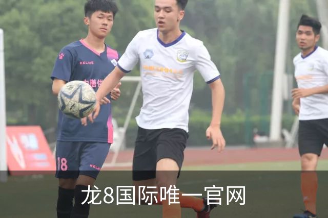 龙8国际唯一官网公司简介
